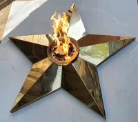 Звезда переносной модуль (513895) монтаж комплект горелка ГВД 379 10 89 00 ПС мобильная  в Калининграде