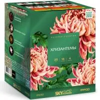 Фейерверк Хризантемы. Купить Фейерверк Хризантемы Z1032 — магазин продажа салютов недорого —  Калининград, производитель Русский фейерверк - Русская пиротехника, доставка по России  +7 963 711 89 03 — Калининград | kaliningrad.piroclub.ru