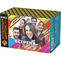 Салют Встреча друзей New ОС8541 купить от производителя Огненный Цветок — Калининград