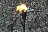 Факел садовый январь 2012 (197221) производство ø 65 мм. ветроустойчивая  в Калининграде