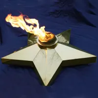 Звезда (газовая горелка) (1636) производство комплект горелка ГВД 379 10 89 00 ПС - ø 1000 мм. ветроустойчивая  в Калининграде