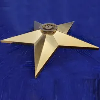 Звезда вечный огонь (1628) поставка комплект горелка ГВД 379 10 89 00 ПС ø 1100 мм. пустотелая  в Калининграде